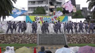 ふくのやまよさこい　舞龍人＆ななまる隊　中央公園 ４ｋ