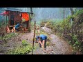 Langit Tiba-tiba Gelap Turun Hujan Sangat Deras Membanjiri Sekitar Pondok Langsung Bercocok Tanam