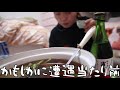 地元宮城のせり鍋作って地酒飲んで泣く夜。【25歳olナイトルーティン】