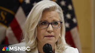 Liz Cheney's warning to America: ‘We have eight months to save our republic’