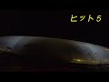 横浜みなとみらい臨港パークで酒の肴を釣ろうvol.4・夜釣り編no.2