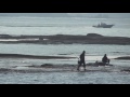 日曜日の田辺市天神崎の釣り人