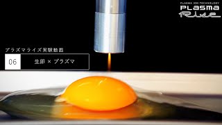 06「生卵 × プラズマ」 プラズマライズ実験動画 [PlasmaRise by SUNLINE]