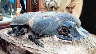 12 Most Incredible Archaeological Finds
