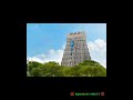 பங்குனி உத்திரம் திருச்செந்தூர் கோவில் shortsfeed shorts thiruchendur appan short murugan om