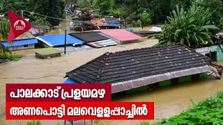 Kerala Rains | Palakkad | പാലക്കാട് പ്രളയമഴ അണപൊട്ടി മലവെളളപ്പാച്ചിൽ