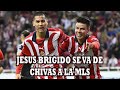 Reporte De Chivas Revelan El Futuro De Fernando Gago En Guadalajara No Quieren Su Continuidad?