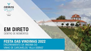 Festa das Vindimas 2023 - encerramento da vindima do Vinho de Carcavelos 'Villa Oeiras'