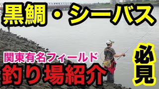 【黒鯛、シーバス】釣り場紹介。関東有名フィールド。良型の黒鯛釣れます‼