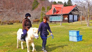 ポニー 引き馬(乗馬)体験 練習中 館ヶ森アーク牧場 食はいのち 岩手県 観光地 循環型農業 6次産業化 夢のある魅力的な農業