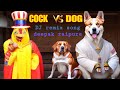 Cock vs dog | DJ remix indian new version 2022 | Deepak raipure super hit dj remix song