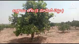 25 ఎకరా ల ఎకరా 26లక్షలు (తగ్గుతుంది)#agricultural land for sale near marriguda