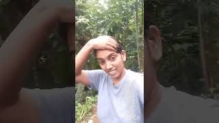 നടന്ന് നടന്ന് നടന്ന് walking vlog, exercise, daily vlog