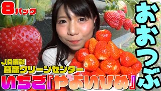 【大食い】幸せすぎ！おおつぶいちご『やよいひめ』をいっぱい食べたよ。【大塚桃子】【MomokoOtsuka】山盛り 먹방 大食い王  日本語