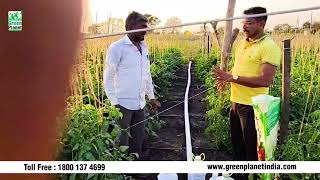 Best Result by using Green Planet Organic Products on Crops