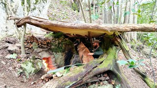 Winter Camping in the Wild, Bushcraft Survival Shelter Camp in Heavy Rain, Nature Documentary, Asmr