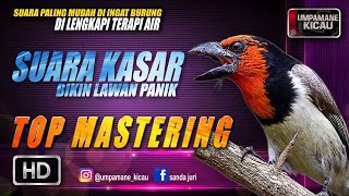 suara kasar bikin musuh keteteran || TOP MASTERING MURAI BATU