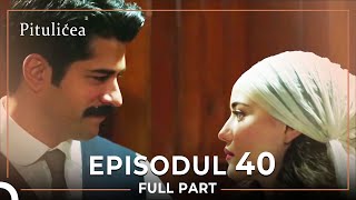 Pitulicea | Episodul 40