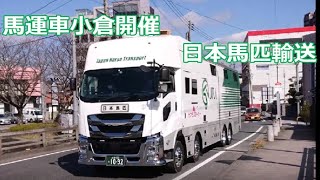 馬運車小倉開催 日本馬匹輸送