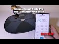 Slimpal Smart Scale Pro WiFi and Bluetooth Scale REVIEW