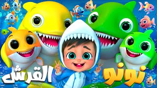 بيبي شارك دودو دودو عربي - اغنية طفل القرش #babyshark دق دق الباب الثعلب والذئب - أغنية يا غنماتي