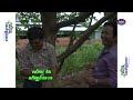 កសិកម្ម និងអភិវឌ្ឍន៍ជនបទ agriculture and rural development eps04