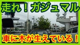 【走れ！ガジュマル】車に木が生えている！究極のエコカー？キジムナーが乗ってる？