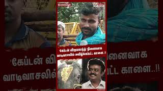 'கேப்டன் விஜயகாந்த்' நினைவாக வாடிவாசலில் அவிழ்க்கப்பட்ட காளை..!! #shorts | #alanganallurjallikattu