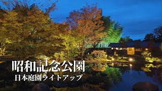 【幻想的な風景】​​ 日本庭園の紅葉ライトアップ｜昭和記念公園 黄葉・紅葉まつり＆秋の夜散歩2023｜