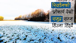 Åkarpदेखि Lomma सम्म: Alnarp पार्कमा हिउँमा हिँड्दै | vertical vlog video #nepali #sweden