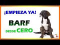 🍗 BARF para CACHORROS | La Mejor Alimentación NATURAL ✔