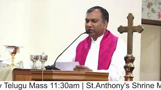 Fr. Jaison | Tuesday Telugu Mass 11:30am | St.Anthony's Shrine Mettuguda | 17-12-24