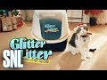 Cut for Time: Glitter Litter Automatic Litter - SNL