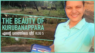 എൻ്റെ നാടിൻ്റെ ഭംഗി The Beauty Of Kurubanappara @maymolpynadath #vlog