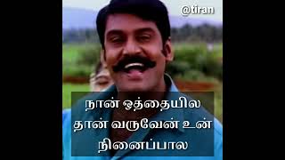 ஓரஞ்சாரம் பார்த்து ஒதுங்கனும் 💞 எட்டுப்பட்டி ராசா #oldsongs