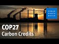 What are Carbon Credits and How Do They Work?