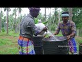 barrel cooking 3 full goat cooking in big barrel whole lamb grill recipe cooking in village