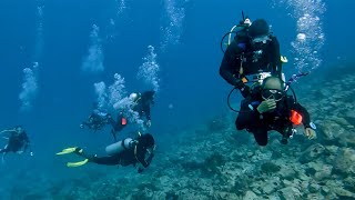 Fun Dive Tenggol Island | 23rd June 2023 | Tokong Timur