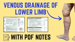 Varicose Veins | Venous Drainage of Lower Limb | 📝 For PDF Notes, Check Description Box👇