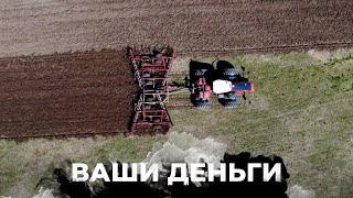 Российский урожай под угрозой, ожидается дефицит продуктов | ВАШИ ДЕНЬГИ