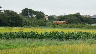 緊急停止～今日の小湊(9/13)