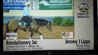 Revolutionary Jac 2017 NRHA Derby Reserve Champion Level 1 run