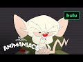 Animaniacs x MasterClass | Ep. 1 Meet Your Instructor | Hulu