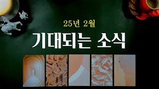 [타로] 2월 기대되는 소식