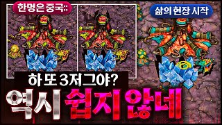 『처절하다..』 삼 저그는 언제나 체험, 삶의 현장입니다.