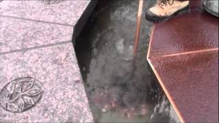 Where do coins tossed into the Centennial Flame go?