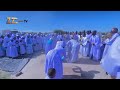 Herbert and crew: Bheriya