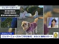 【202590126 ウェザーニュースライブ切り抜き】 かわいい動物リポート 小川千奈