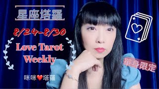 十二星座每週愛情占卜8/24-8/30單身限定⭐️咪咪❤️塔羅 Love Tarot Weekly