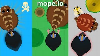 CASSOWARY KILLS DINO MONSTER THREE TIMES!! // MOPE.IO